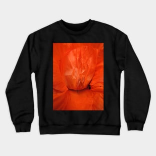 Ablaze Crewneck Sweatshirt